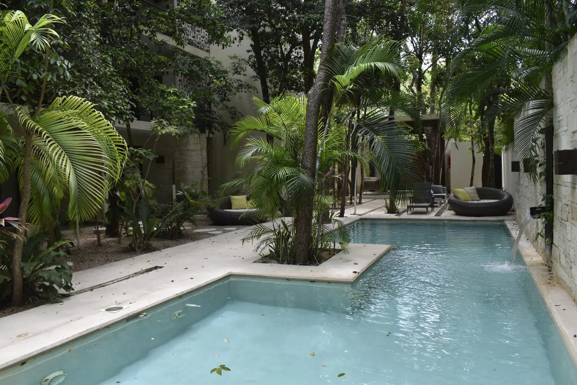 Alberca rodeada de vegetación en Tulum